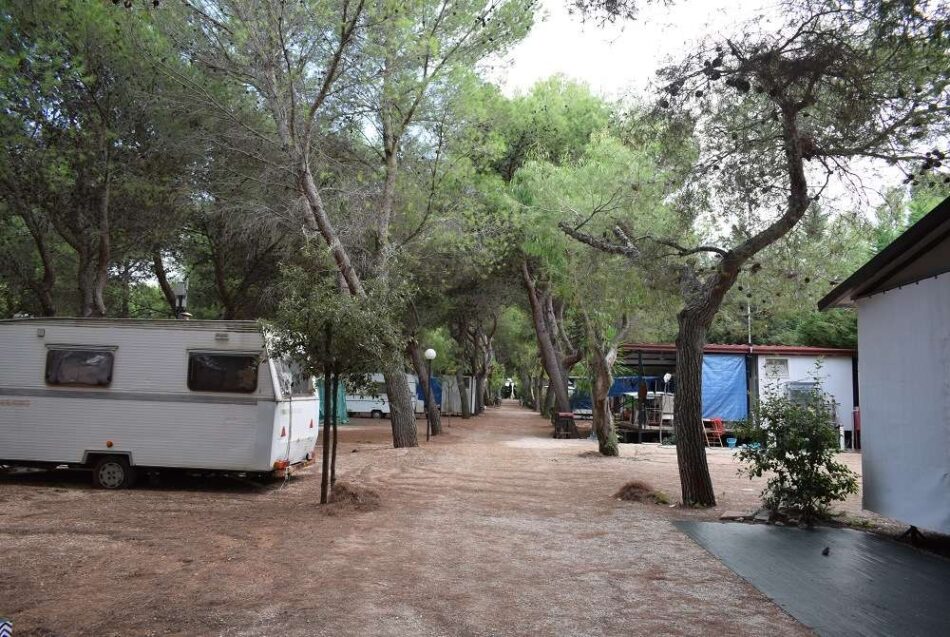 Cala dei Ginepri Piazzole 1