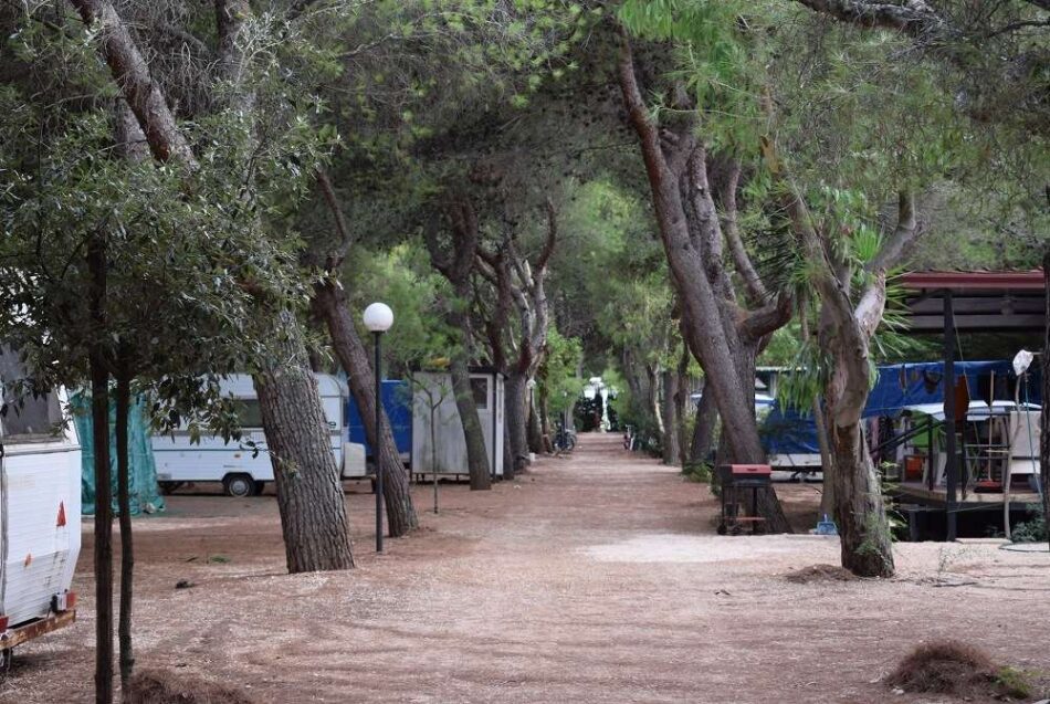 Cala dei Ginepri Piazzole 3