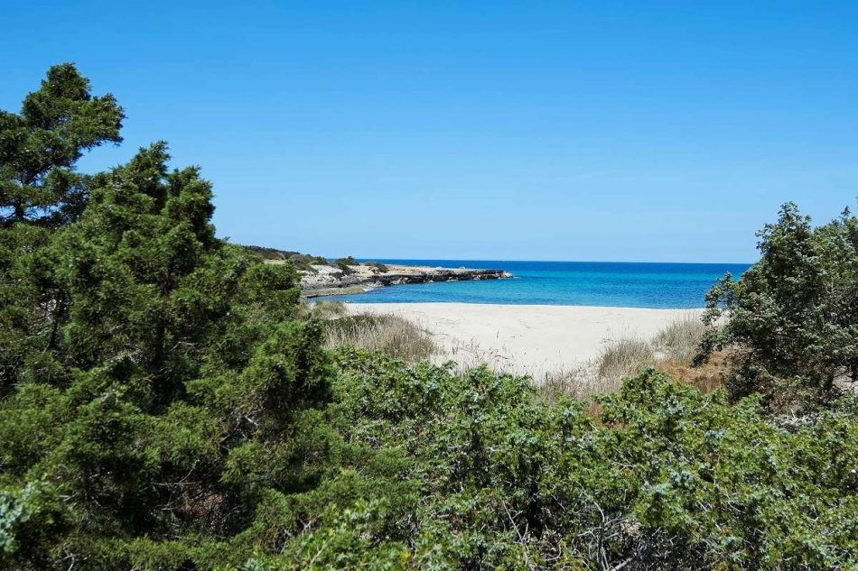 Cala dei Ginepri - La Spiaggia