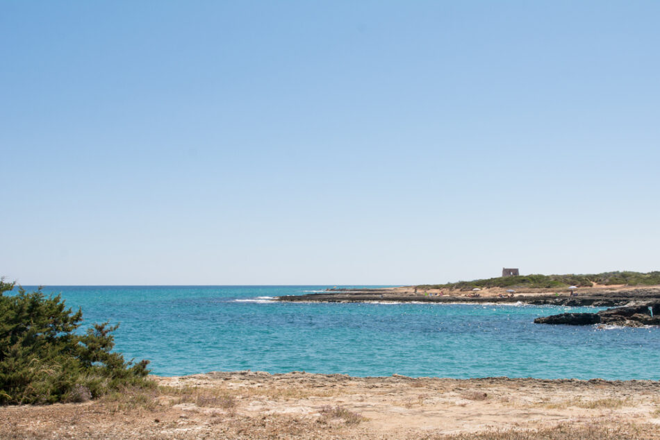 Cala dei Ginepri Dintorni 9